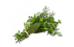More about herbs